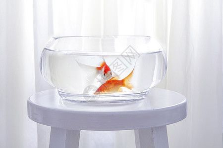 您敬愛的老父親水族館，白點(diǎn)怎么治的啊？這么快有綠藻了啊？，宇寧bmtpx說水族館白點(diǎn)怎么做的,水族館白點(diǎn)怎么治的啊