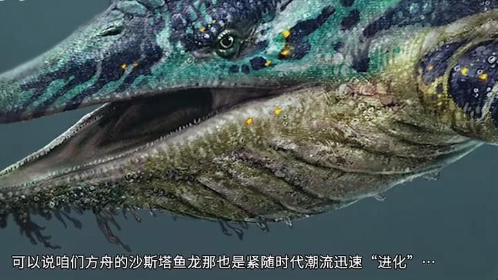 薩德斯塔龍魚，一種獨(dú)特的淡水魚類，關(guān)于薩德斯塔龍魚的介紹