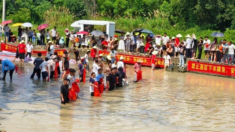 富川龍魚的生活習(xí)性與養(yǎng)護(hù)技巧，“富川龍魚”三招讓它們健康長壽全民小視頻