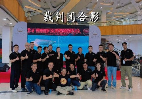 速倍妥與祥龍魚場(chǎng)的探索，探討速倍妥與祥龍魚場(chǎng)的探索，養(yǎng)觀賞魚買速倍妥可以嗎