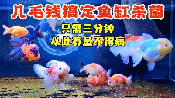 龍魚掉眼是否還具有價值的疑問，龍魚掉眼會影響其價值嗎，關于龍魚掉眼的問題