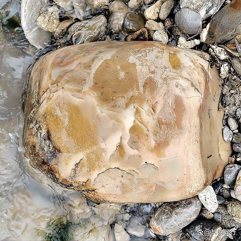 孤品大師工藝和田玉龍魚吊墜和田玉龍魚吊墜價格情況，和田玉龍魚價格一般多少錢？