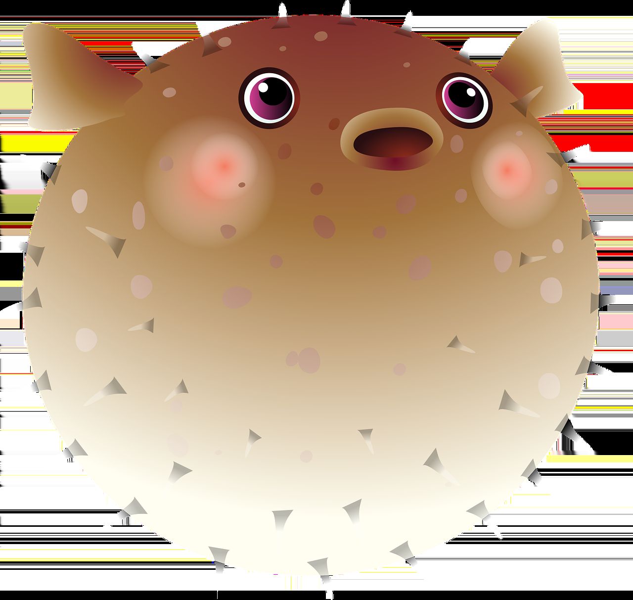 龍魚開缸養水教程視頻，幫助您從零開始打造龍魚水族箱，龍魚開缸養水教程視頻