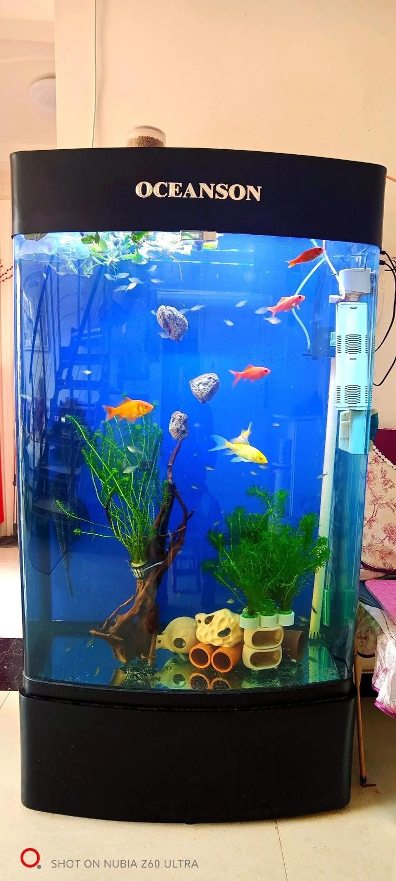 網(wǎng)評最好吃的“5種魚”，吃過三種的是土豪，網(wǎng)評最好吃的“5種魚”,吃過三種的是土豪,全吃過的沒幾個老弟兒說美食