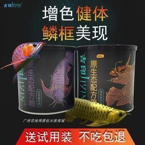 龍魚的種類有哪些，龍魚的分類和分類