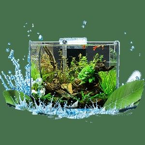 魚缸品牌十大品牌排行榜魚缸品牌十大品牌排行榜，世界水族品牌排行榜