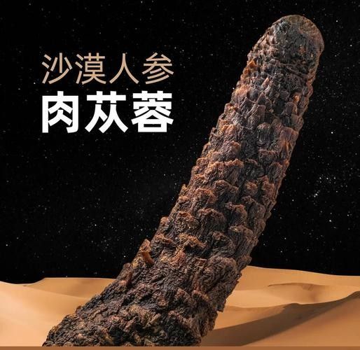 阿拉善左旗十大特產(chǎn)萌趣鮮包君依然還是這個(gè)老店等你，內(nèi)蒙古阿拉善十大特產(chǎn)