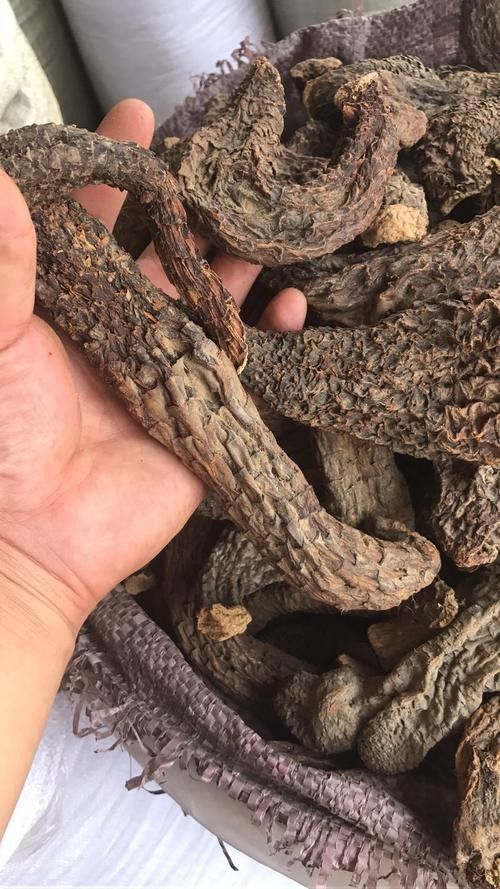 阿拉善左旗十大特產(chǎn)萌趣鮮包君依然還是這個(gè)老店等你，內(nèi)蒙古阿拉善十大特產(chǎn)