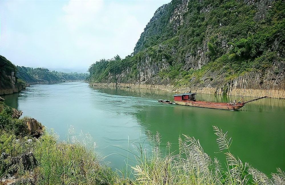 廣西名貴淡水魚排名