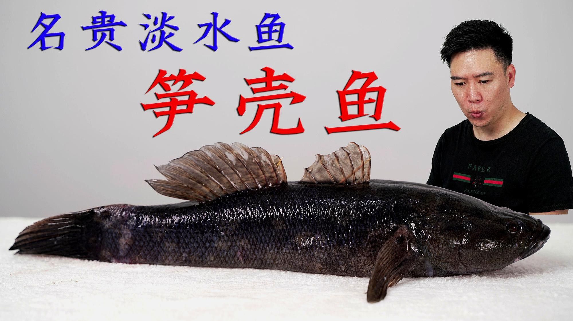 廣西名貴淡水魚排名