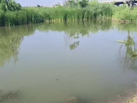 陜西富平野釣必去5個地方奇域樂游渭南初秋游怎么玩看這篇就夠了，富平野釣必去5個地方奇域樂游