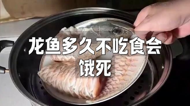 龍魚拒食怎么辦五招讓它恢復食欲全民小視頻，家居小偵探龍魚拒食怎么辦