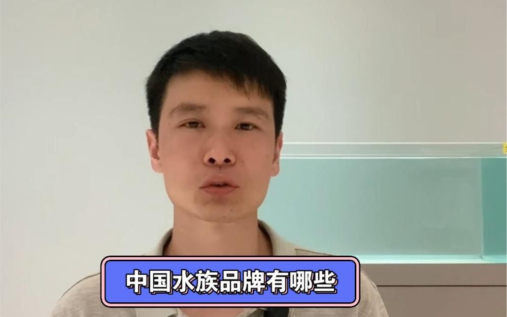 中國水族箱品牌top10權(quán)威榜單出爐，中國水族品牌top10權(quán)威榜單出爐森森（sunsun）