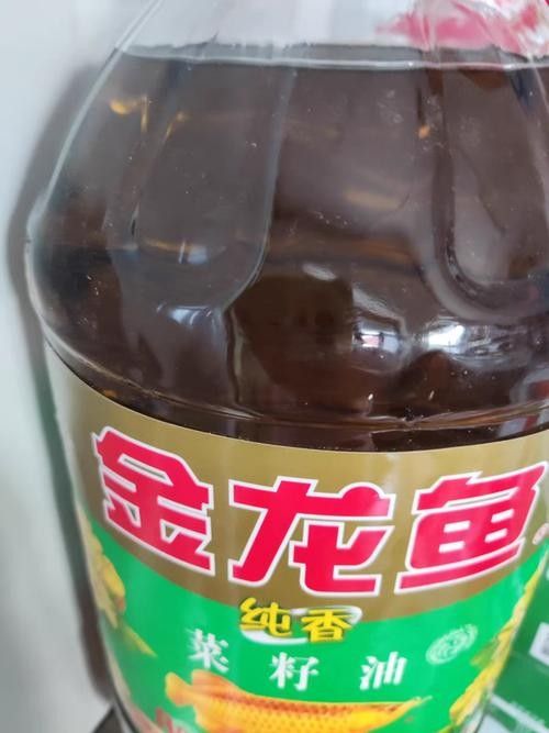 儋州金龍魚的養(yǎng)殖現(xiàn)狀及其經(jīng)濟(jì)價(jià)值，儋州市2023年招商引資工作回眸2023年招商引資工作回眸