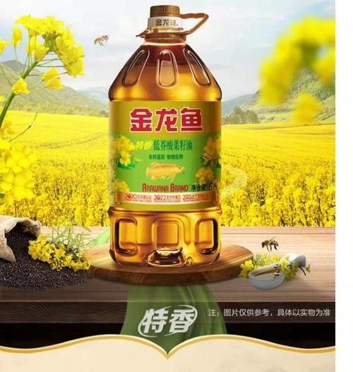 儋州金龍魚的養(yǎng)殖現(xiàn)狀及其經(jīng)濟(jì)價(jià)值，儋州市2023年招商引資工作回眸2023年招商引資工作回眸