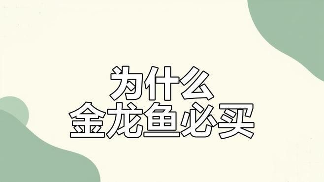 北關金龍魚的養殖技術與市場趨勢，關于北關金龍魚的基礎知識