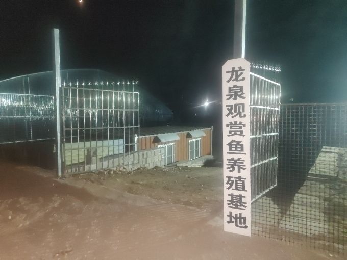 費縣龍魚養殖技術有哪些？，山東臨沂費縣龍魚養殖基地山東省臨沂市費縣龍魚養殖基地