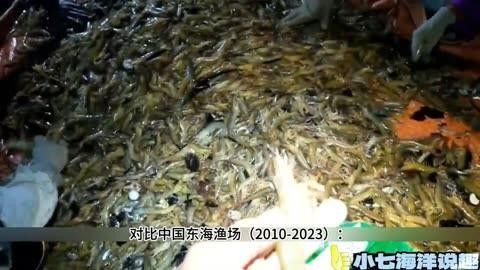 印尼大湖hulu漁場產業聯盟（industryassociation），專訪印尼大湖hulu漁場產業聯盟