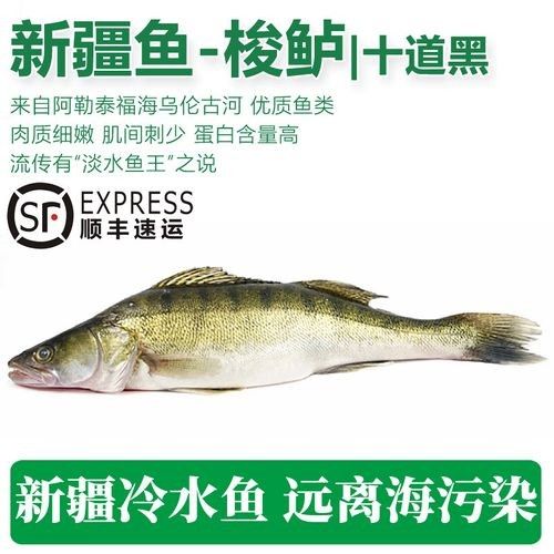 <strong><mark>阿勒泰</mark></strong>的冷水魚，<strong><mark>阿勒泰</mark></strong>冷水魚是什么魚