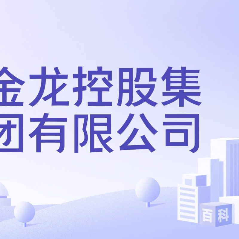 金龍控股集團是做什么的金鑰行，樂清金龍控股集團是一家位于浙江省樂清市的大型企業集團