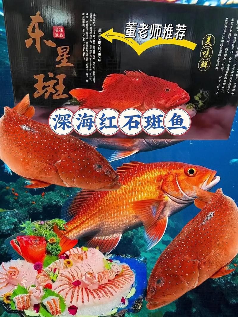 紅丁斑魚的最佳烹飪方法是什么紅丁斑魚肉質鮮美堪比初戀，紅丁斑清蒸,魚皮嫩滑如凍,肉質鮮美堪比初戀!