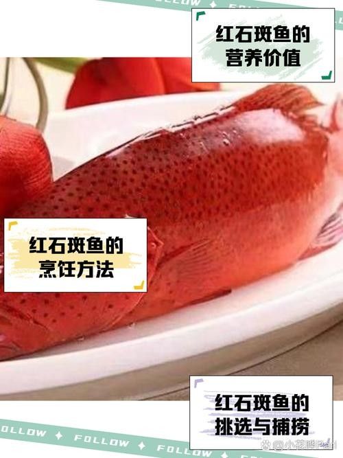 紅丁斑魚的最佳烹飪方法是什么紅丁斑魚肉質鮮美堪比初戀，紅丁斑清蒸,魚皮嫩滑如凍,肉質鮮美堪比初戀!