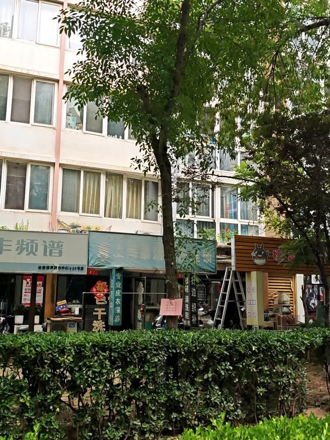 龍貓寵物醫院提供在線咨詢服務，北京龍貓寵物醫院在線咨詢