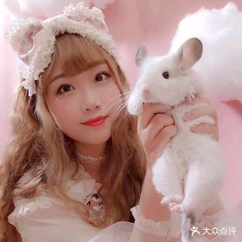 龍貓寵物醫院提供在線咨詢服務，北京龍貓寵物醫院在線咨詢