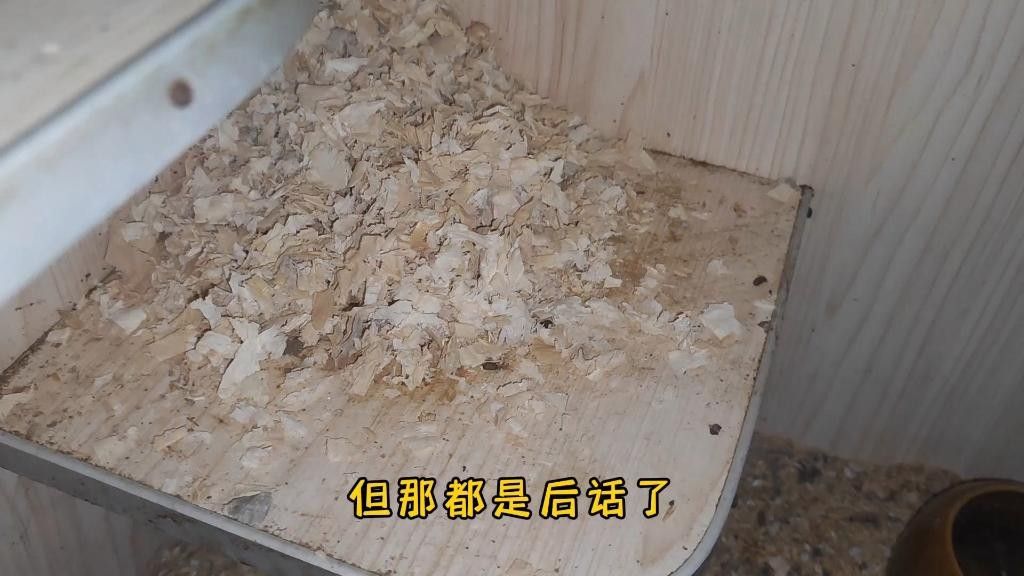 龍貓寵物醫院提供在線咨詢服務，北京龍貓寵物醫院在線咨詢