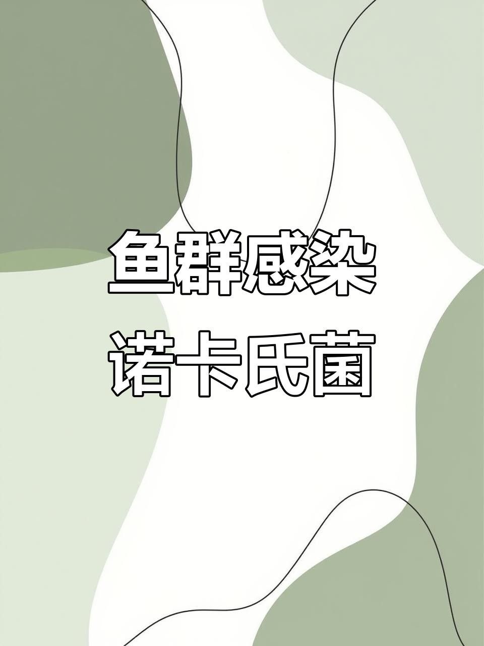 大日玉鯖魚的特定疾病與治療方法:大蒜水輕松應對，關于大日玉鯖魚疾病的一些建議