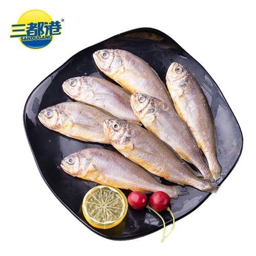 魚類十大品牌排行榜前十名那天魚類什么牌子好，魚類十大品牌排行榜