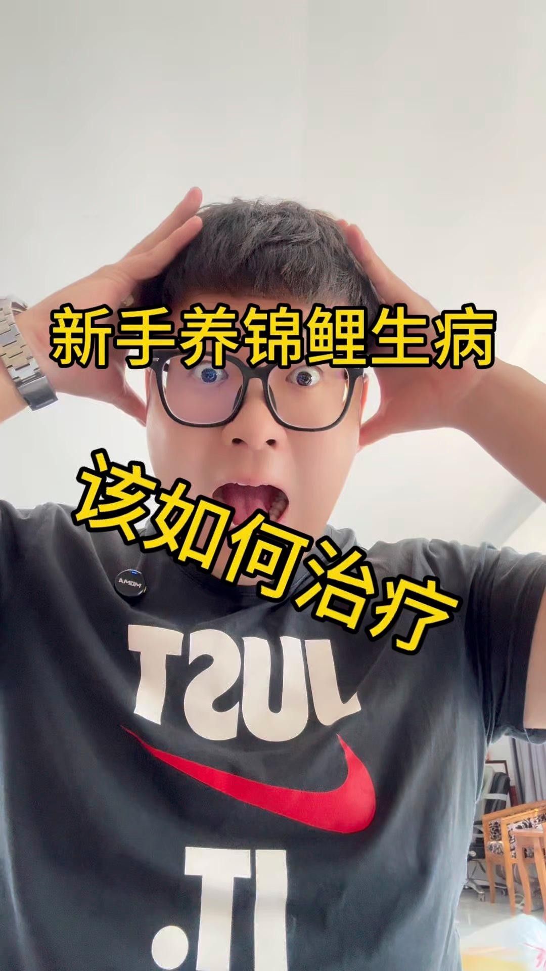 錦鯉生病癥狀與治療方法，錦鯉常見病治療方法全解析