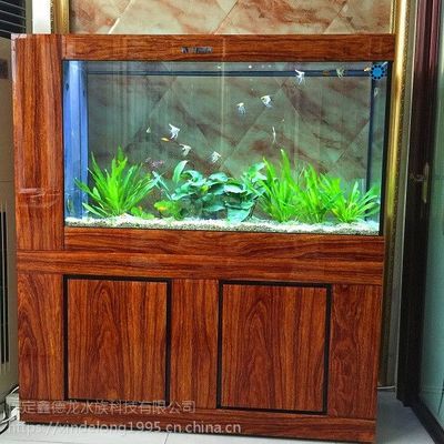 金龍魚、金龍魚、紅龍魚、金龍魚、金龍魚、過(guò)背金龍魚、金龍魚，金龍魚、紅龍魚、金龍魚、紅龍魚、亞洲龍魚、亞洲龍魚、青龍魚