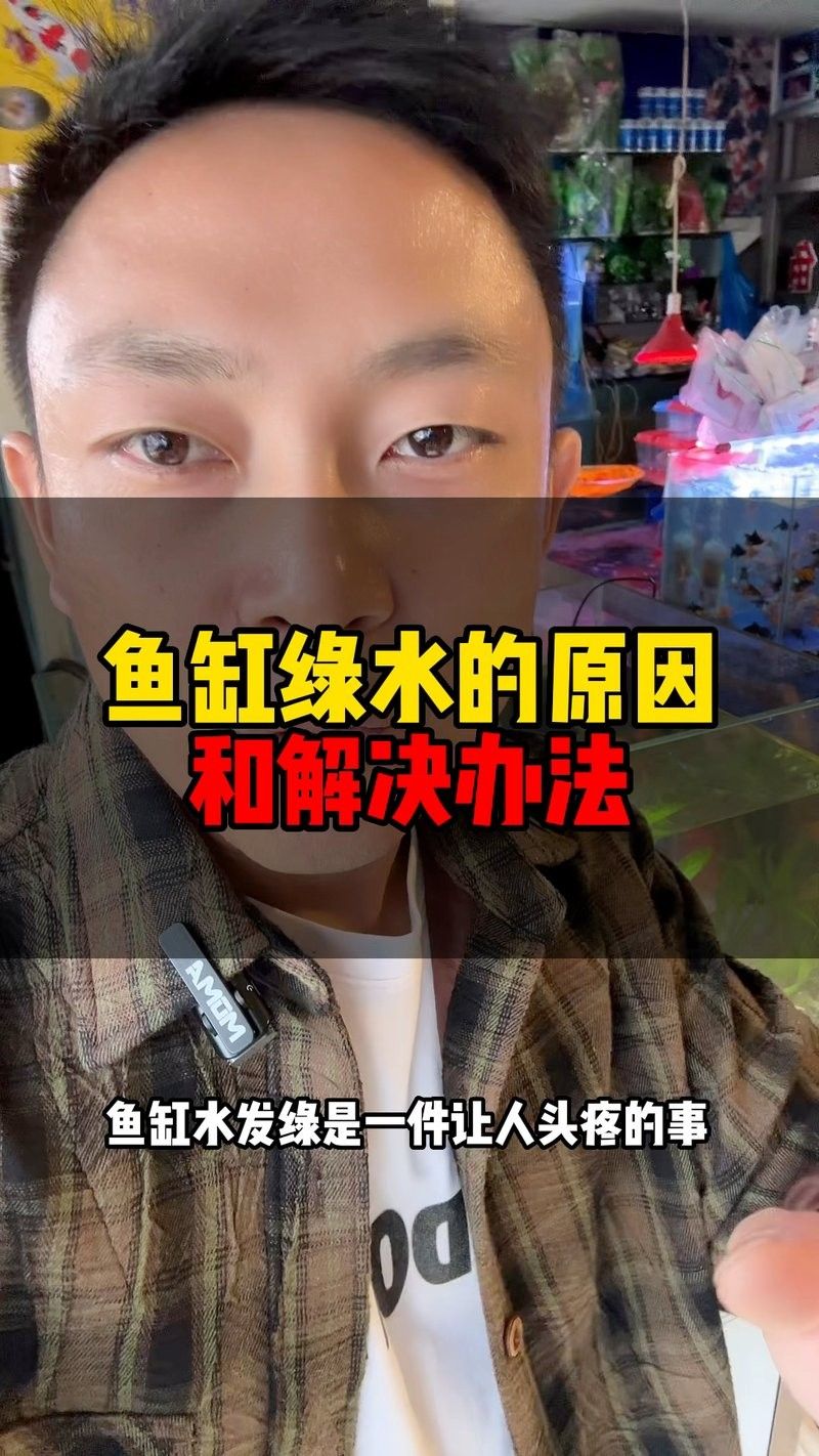魚缸綠水如何處理嗶哩嗶哩魚缸綠水怎么辦，嗶哩嗶哩魚缸綠水怎么辦