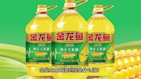 黑土地油和金龍魚哪個好，黑土地和金龍魚哪個更健康？