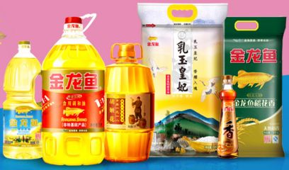 大型龍魚缸效果圖大全圖片，龍魚的飼養方法，大型龍魚缸效果圖大全