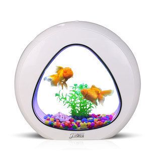 廣州觀賞魚批發市場，廣州市觀賞魚批發市場