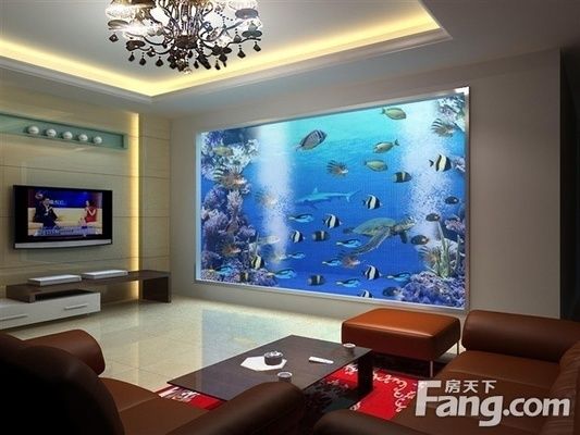 如何判斷龍魚病情（如何判斷龍魚患有白點病？）