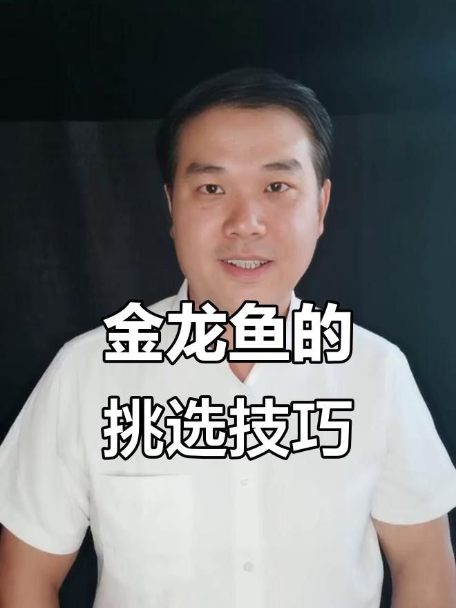 高力板金龍魚(yú)的飼養(yǎng)方法，高力板金龍魚(yú)養(yǎng)殖技術(shù)、市場(chǎng)前景以及面臨的挑戰(zhàn)，高力板金龍魚(yú)