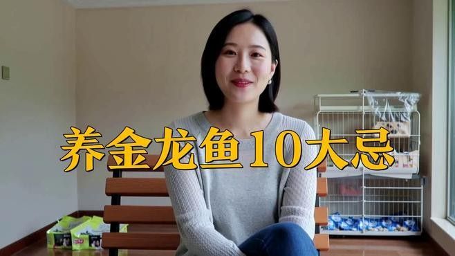 高力板金龍魚(yú)的飼養(yǎng)方法，高力板金龍魚(yú)養(yǎng)殖技術(shù)、市場(chǎng)前景以及面臨的挑戰(zhàn)，高力板金龍魚(yú)