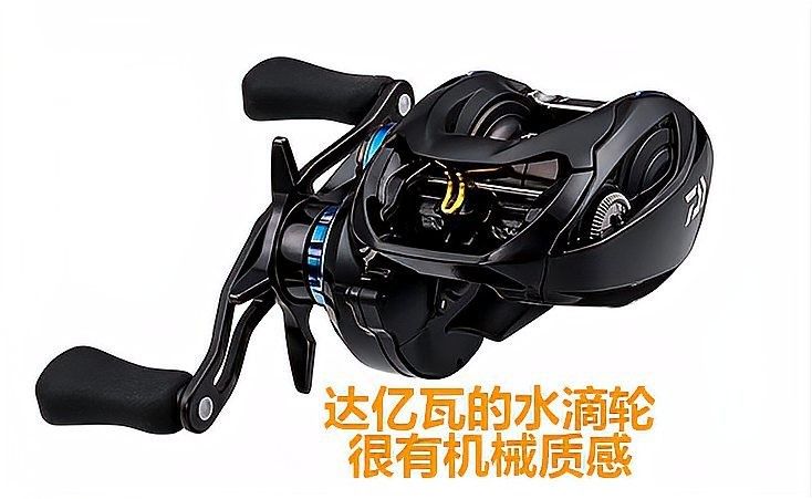 鄉寧龍魚是雜牌子嗎？，“鄉寧龍魚”屬于雜牌子的討論涉及多個方面，需要明確定義