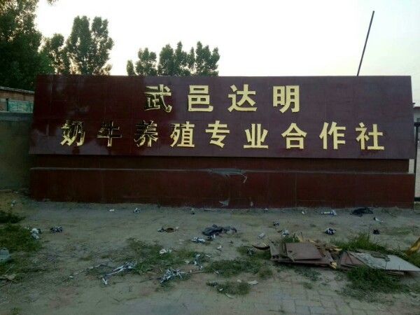 河北衡水市武邑縣農(nóng)業(yè)農(nóng)村局2024年基層農(nóng)技推廣項(xiàng)目示范基地，武邑縣農(nóng)業(yè)農(nóng)村局2024年基層農(nóng)技推廣項(xiàng)目科技示范主體名單