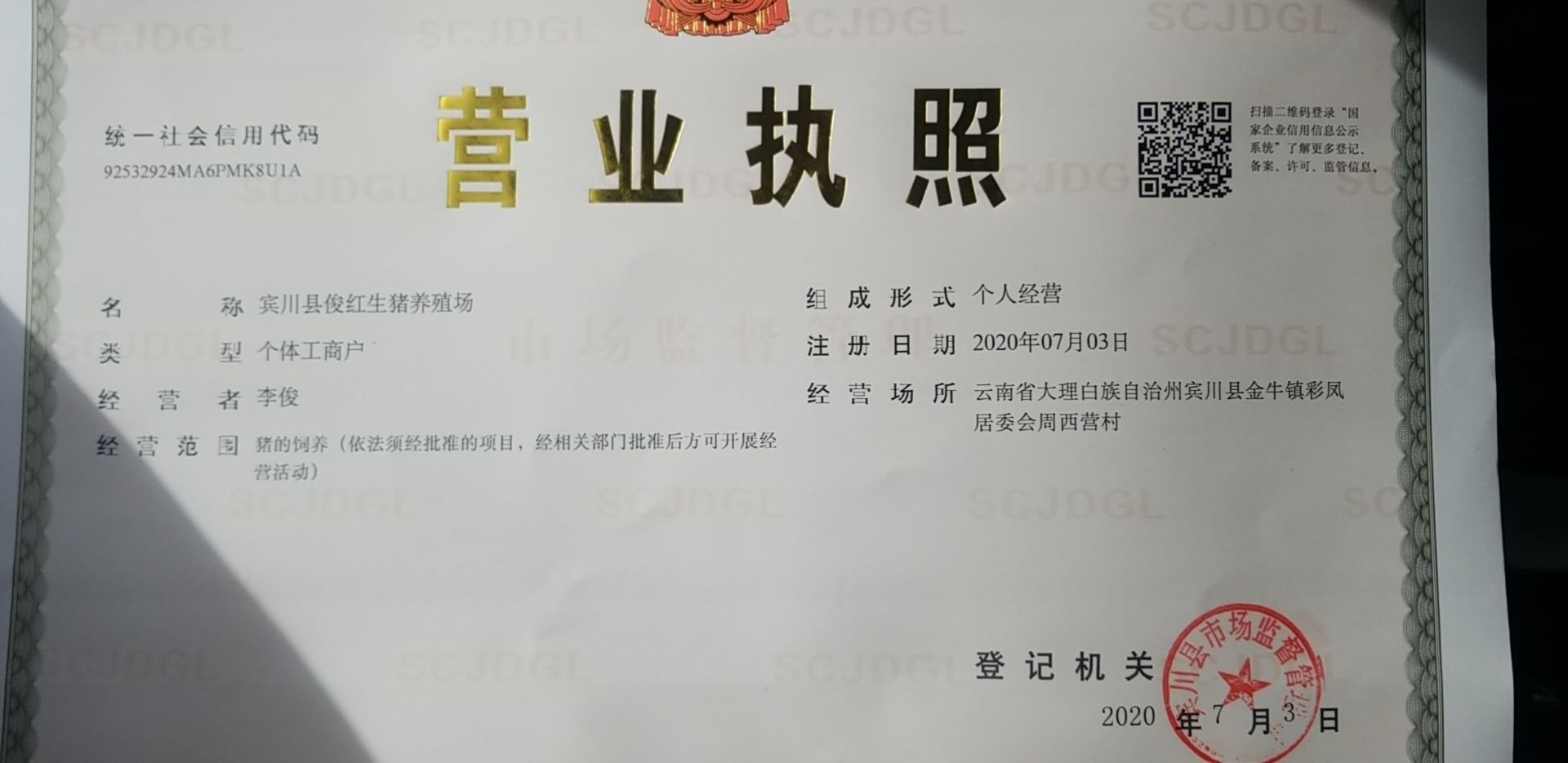 賓川龍魚的市場價格是多少？，云南賓川龍魚養殖場大理白族自治州賓川縣恩棋養殖場