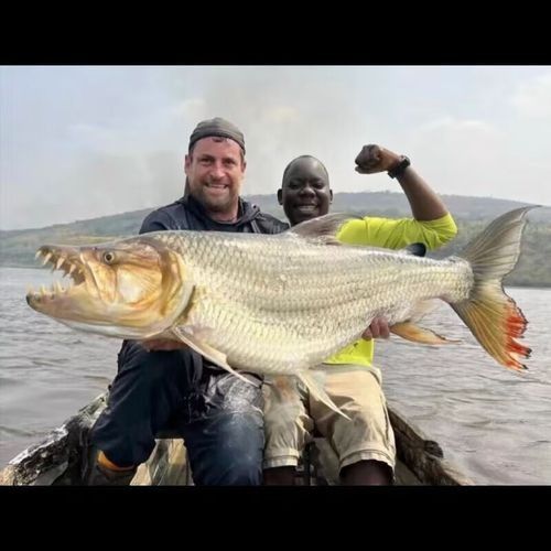 泰龐海鰱魚的市場價格范圍是多少泰龐海鰱魚的飼養難度如何，泰龐海鰱魚是否為名牌的重要依據，泰龐海鰱魚是否為名牌的重要因素