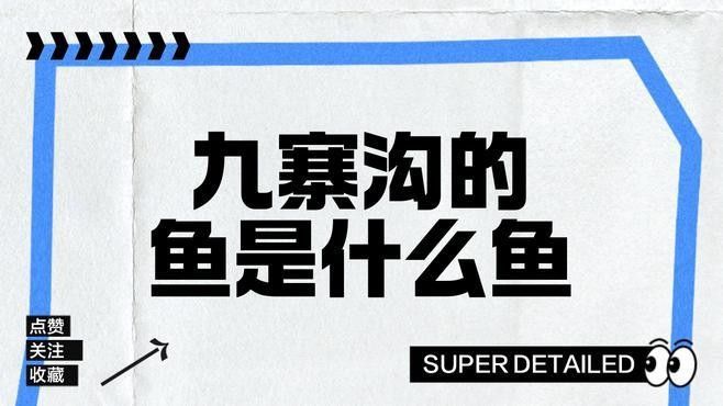 阿壩州的十大好吃名魚，wy唐小萌阿壩州首家冷水魚種場在<strong><mark>汶川</mark></strong>縣投產阿壩州