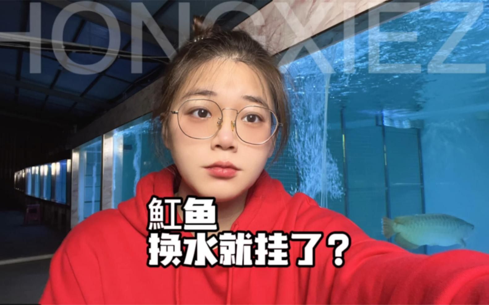 魚缸換水后死亡的原因及解決方案，047魚換水后死亡的現象可能由多種因素導致魟魚死亡