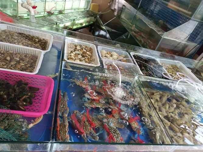 北海龍頂魚多少錢一斤未來大崔2a比豬還大的魚還大，北海龍頂魚多少錢一斤