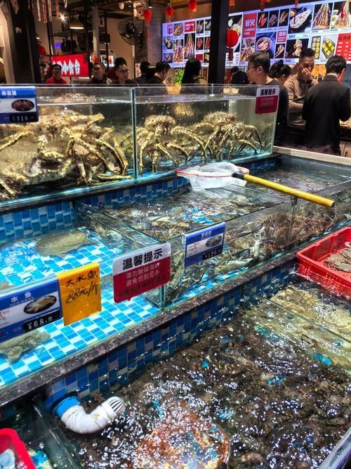 北海龍頂魚多少錢一斤未來大崔2a比豬還大的魚還大，北海龍頂魚多少錢一斤