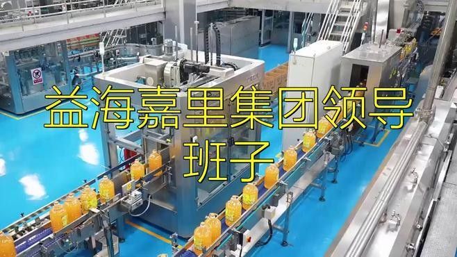 益海嘉里金龍魚食品集團高管團隊郭孔豐任董事長，益海嘉里金龍魚(300999)高管名單