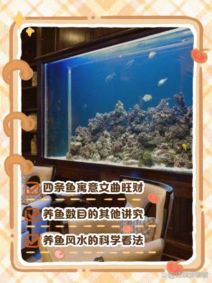 魚缸養4條魚的寓意柒柒柒柒柒柒寵物城，養四條魚在風水中是<strong><mark>吉利</mark></strong>的選擇嗎